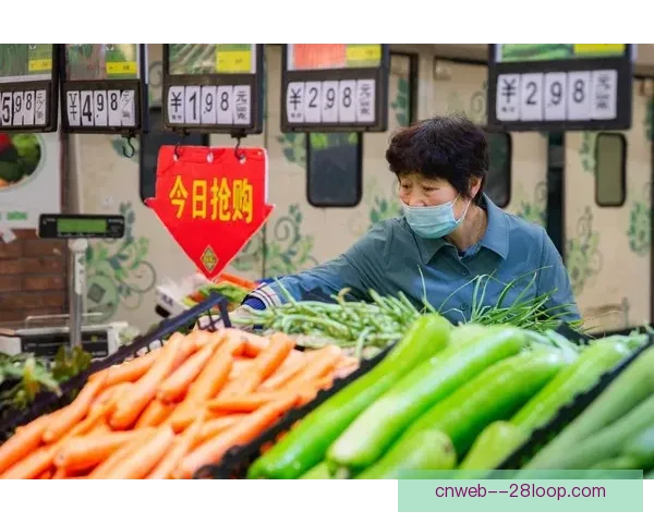 世俱杯赛场参赛球队竞技状态全面评估与走势解析前景预测深度观察 世俱杯赛场参赛球队竞技状态全面评估与走势解析前景预测深度观察