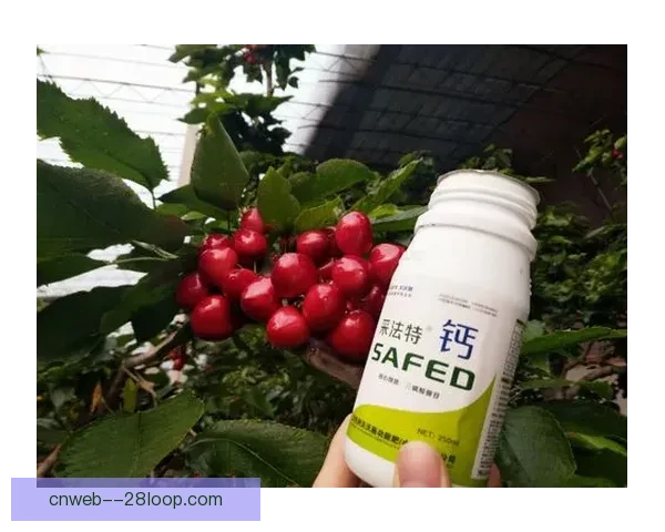 药厂重磅签约雷恩锋线利器特里耶引爆新赛季期待 药厂重磅签约雷恩锋线利器特里耶引爆新赛季期待